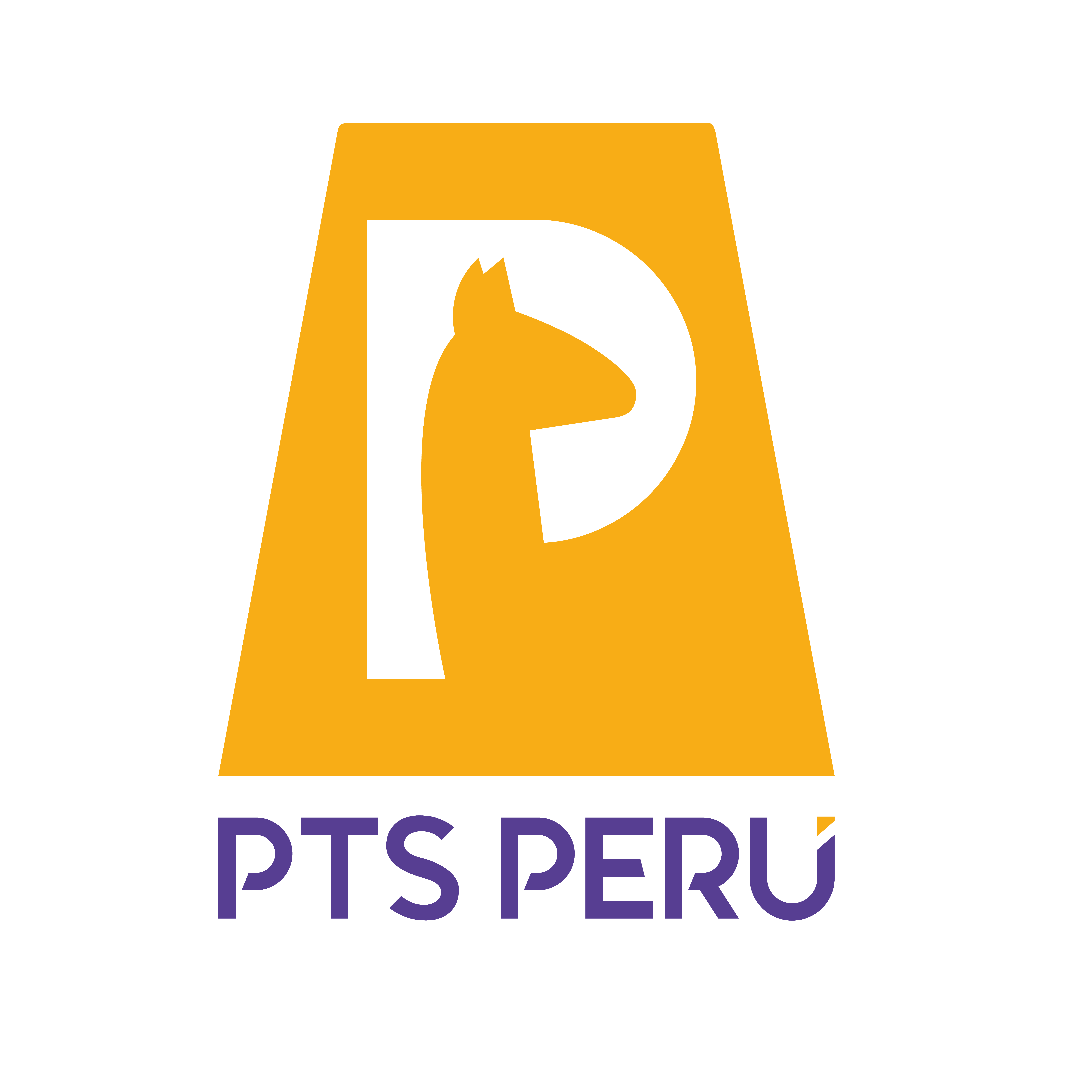 PTS PERU.png