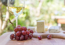 Harmonização: como combinar queijo Gruyère e vinhos?
