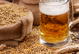Cerveja de trigo: confira a relação do trigo com a cerveja