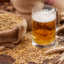 Cerveja de trigo: confira a relação do trigo com a cerveja