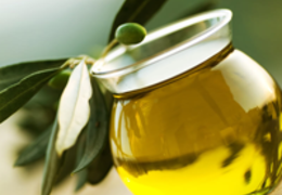 Descubra os principais benefícios da folha de oliveira para sua saúde