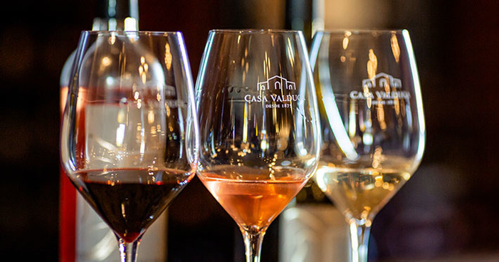 Conheça quais são as 13 uvas mais tradicionais na produção de vinho