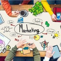 Como saber se sua estratégia de Marketing Digital é eficiente?