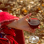 Conheça os 5 vinhos mais recomendados para consumir no outono