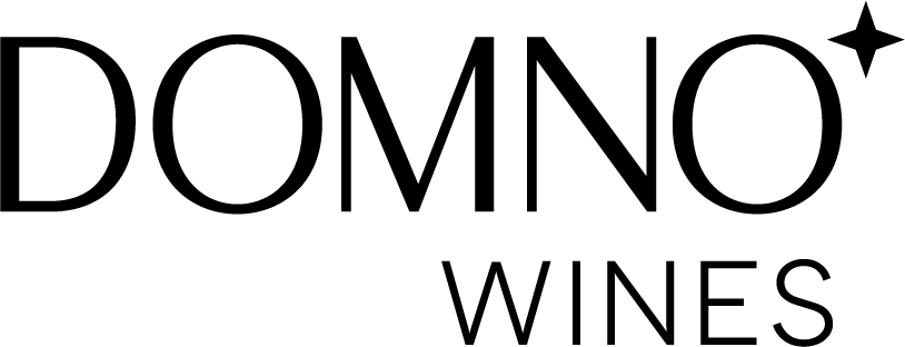 Domno - Logo.png
