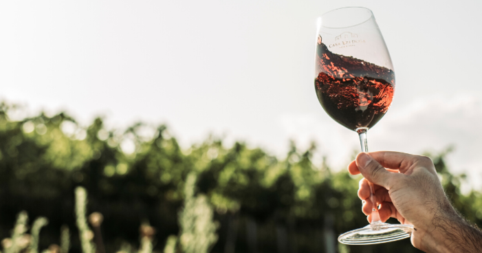 Taça de vinho personalizada: confira algumas ideias!
