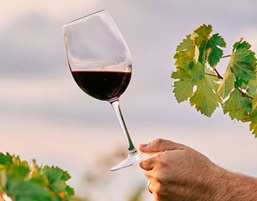 Conheça os diferentes estilos de vinhos Cabernet Franc 