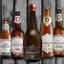 Cervejaria Leopoldina comemora sucesso e faz lançamento oficial da marca no Mondial de La Bière