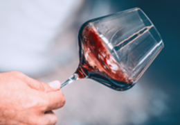 Temperatura do vinho: como avaliar para servir cada tipo de vinho?