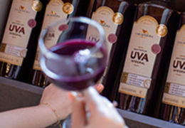 Vinho e suco de uva integral: entenda as semelhanças e benefícios!