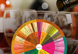 Como a roda de aromas de vinhos pode melhorar sua experiência? 