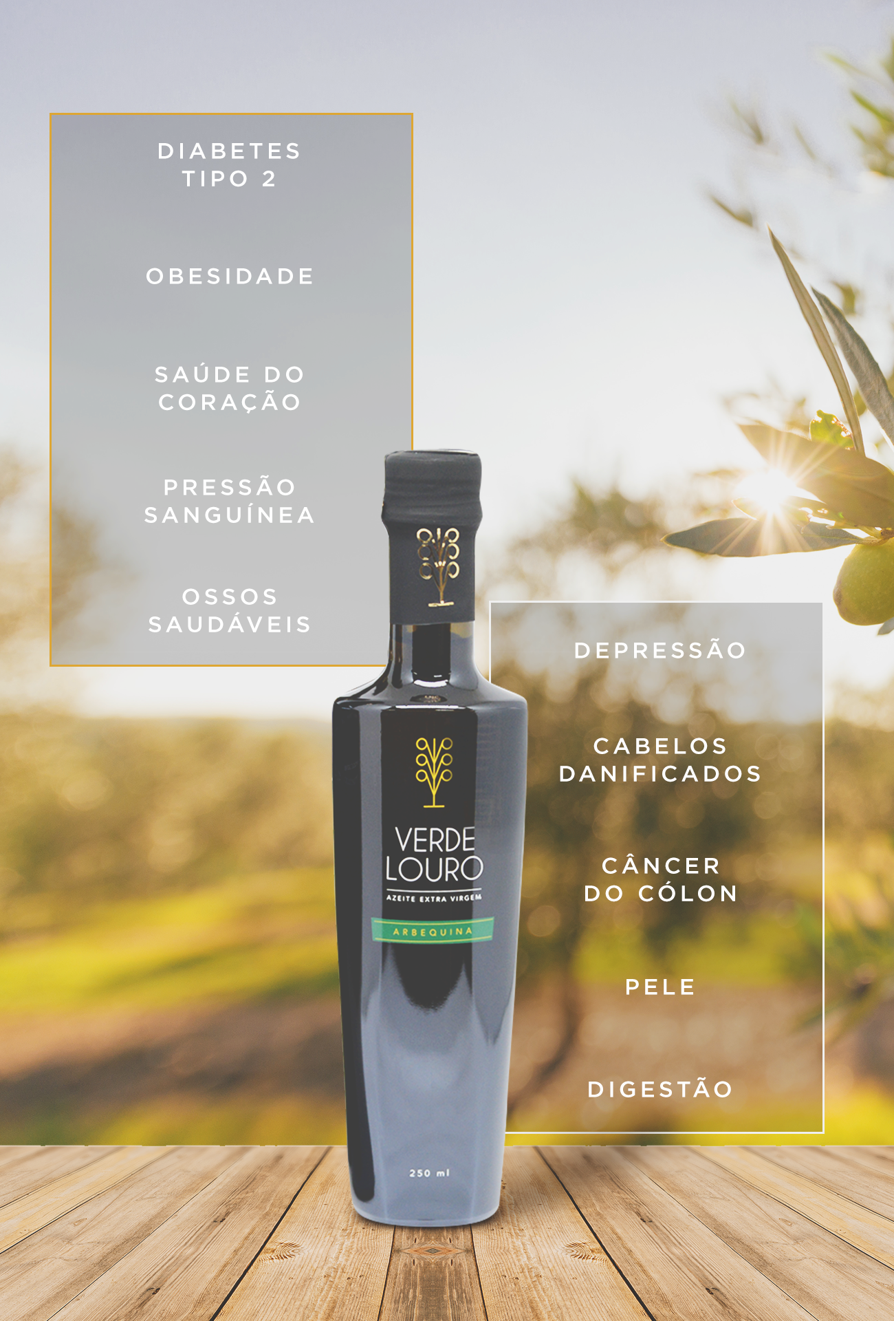 10 Benefícios do que o azeite de oliva extra virgem traz para a saúde