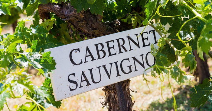 Tudo o que você precisa saber sobre a uva Cabernet Sauvignon